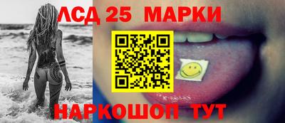 гидра Будённовск