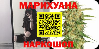 гидра Будённовск