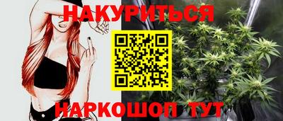гидра Будённовск