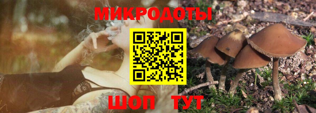 Уварово  Галлюциногенные грибы MAGIC MUSHROOMS  закладки  Вход с VPN 